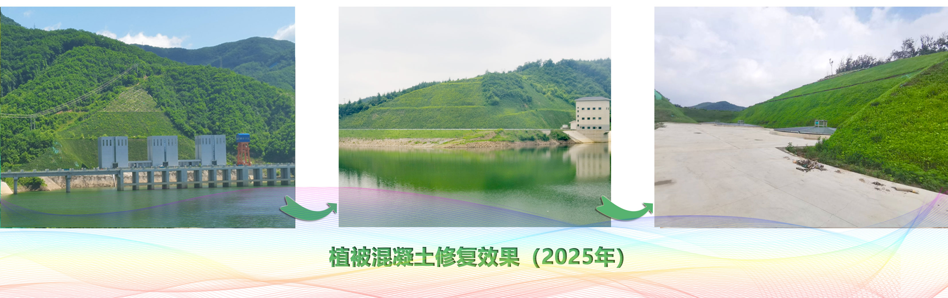 1765332467689031181.jpg 777.jpg