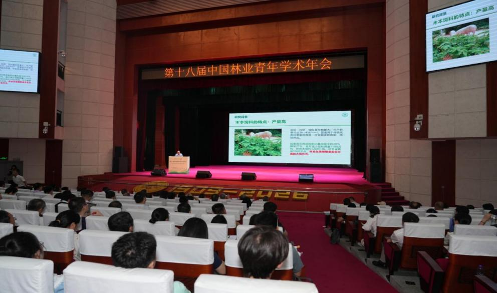 1785288152150026598.png 图片2.png
